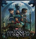 Black Panther - Wakanda Forever (2022) (Hindi + English) Dual Audio MCU Hollywood Movie BluRay HD ESub
