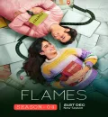 Flames S4 (2023) Hindi Completed Web Series HEVC ESub