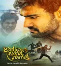 Jaya Janaki Nayaka (Khoonkhar) (2017) {Hindi + Telugu} Dual Audio UnCut Movie HD ESub