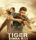 Tiger Zinda Hai (2017) Bollywood Hindi Full Movie BluRay HD ESub