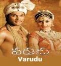 Varudu (Ek Aur Rakshak) (2010) (Hindi + Telugu) Dual Audio UnCut Movie HD