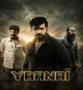 Yaanai (2022) (Hindi + Tamil) Dual Audio UnCut South Movie HD ESub