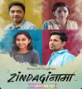 Zindaginama S01 (2024) Hindi Completed Web Series HEVC ESub