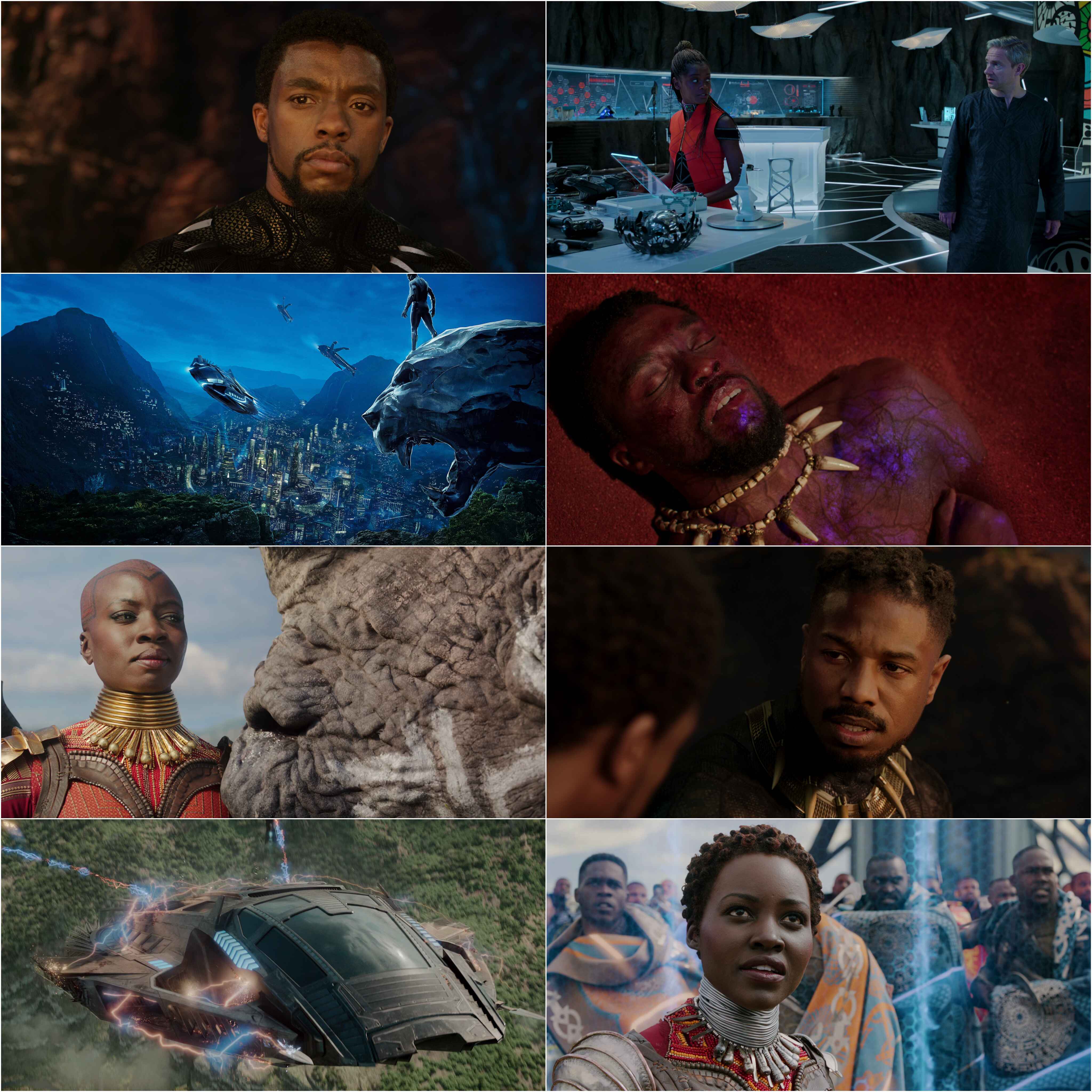 Black Panther (2018) (Hindi + English) Dual Audio MCU Hollywood Movie BluRay HD ESub screenshot