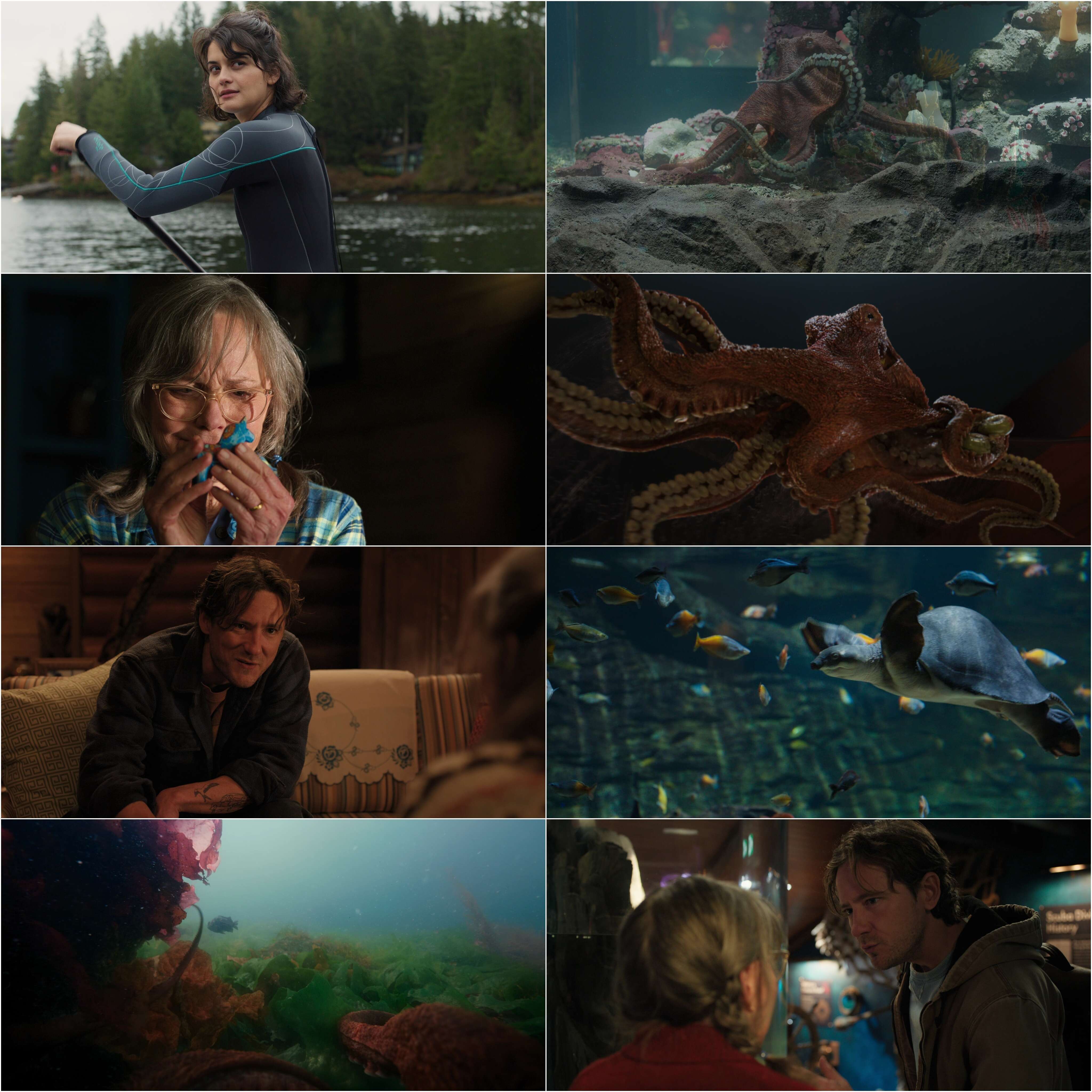 Remarkably Bright Creatures (2026) (Hindi + English) Dual Audio Hollywood Movie HD ESub screenshot