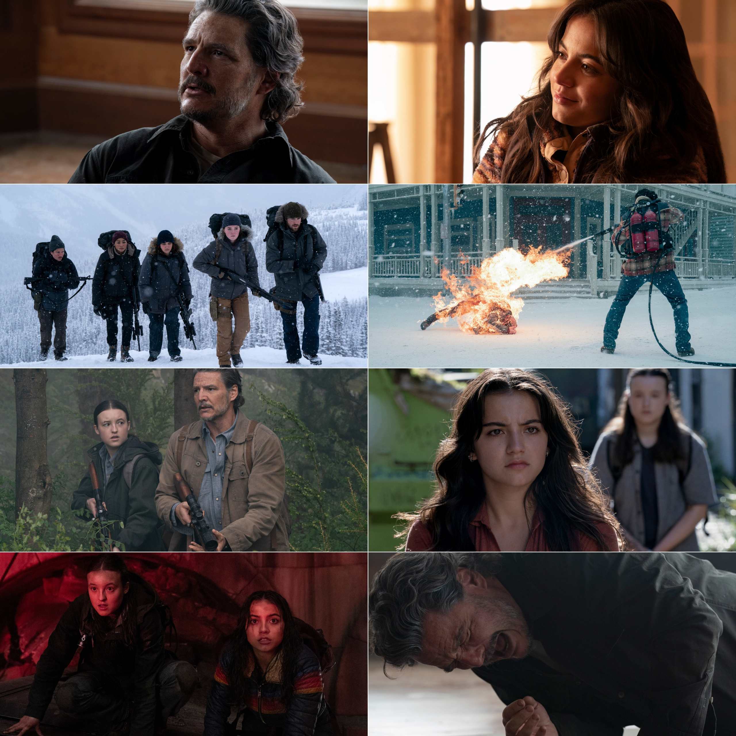 The Last of Us S02 (2025) (Hindi + English) Dual Audio Completed Web Series HEVC ESub screenshot